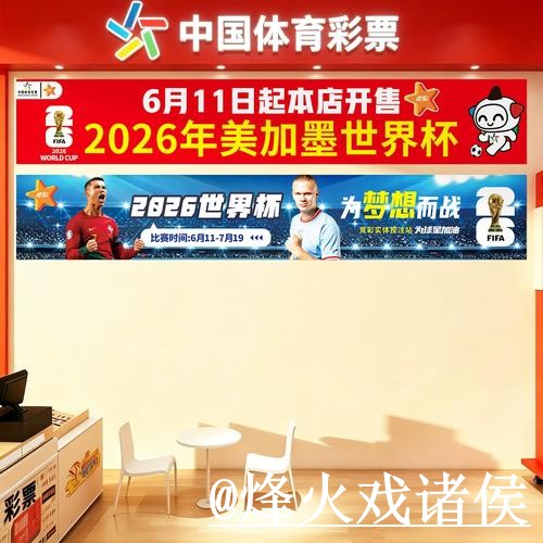 美加墨世界杯在线买球操作说明，新手使用和平台稳定性怎么处理